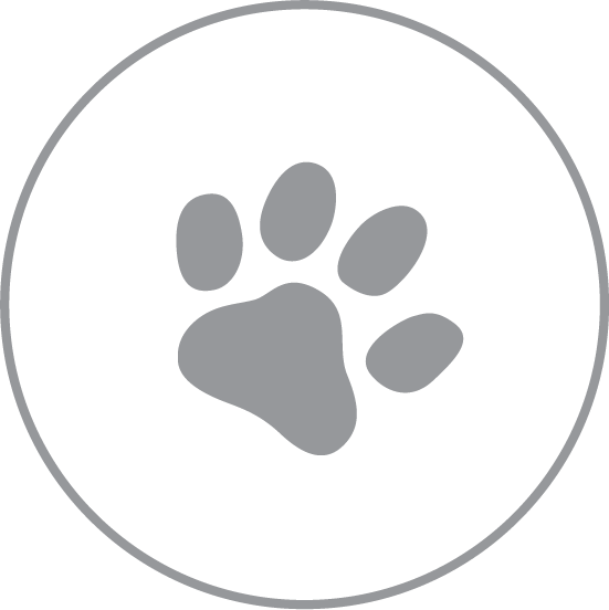 Veterinaria Veterinaria