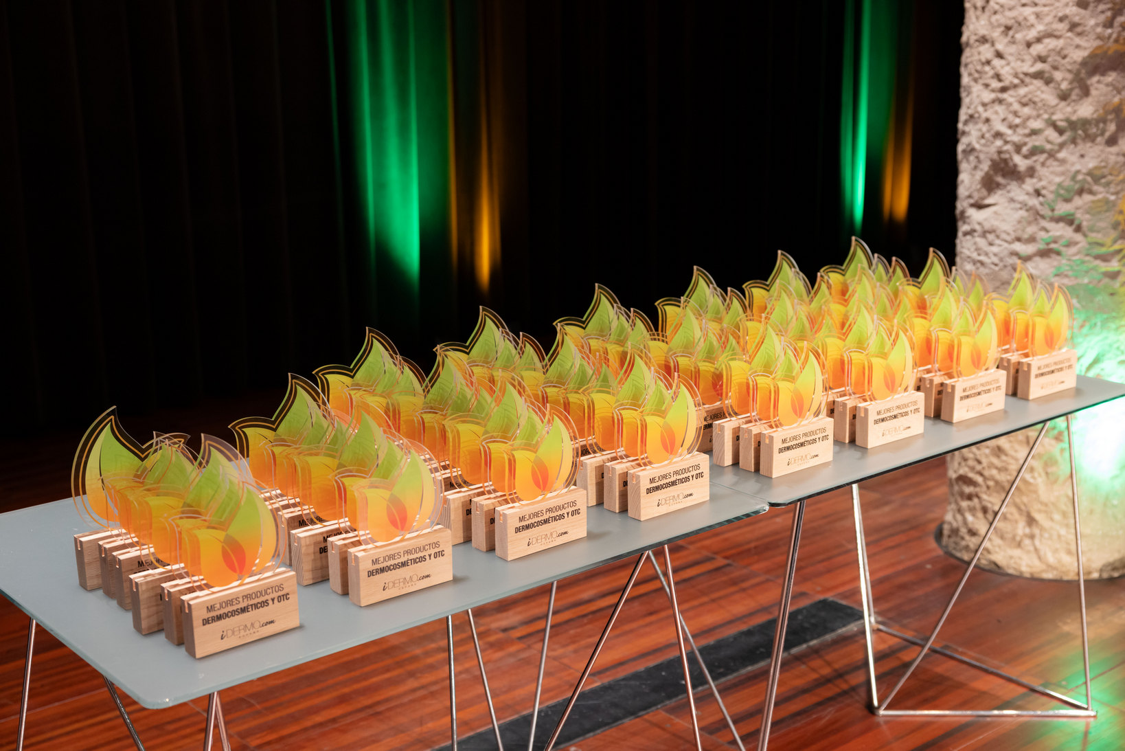 PREMIOS IDERMO 2026 sd 00002