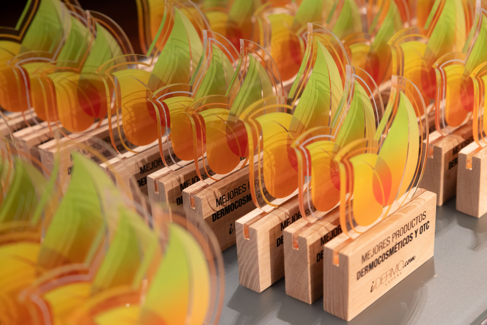 PREMIOS IDERMO 2026 sd 00005