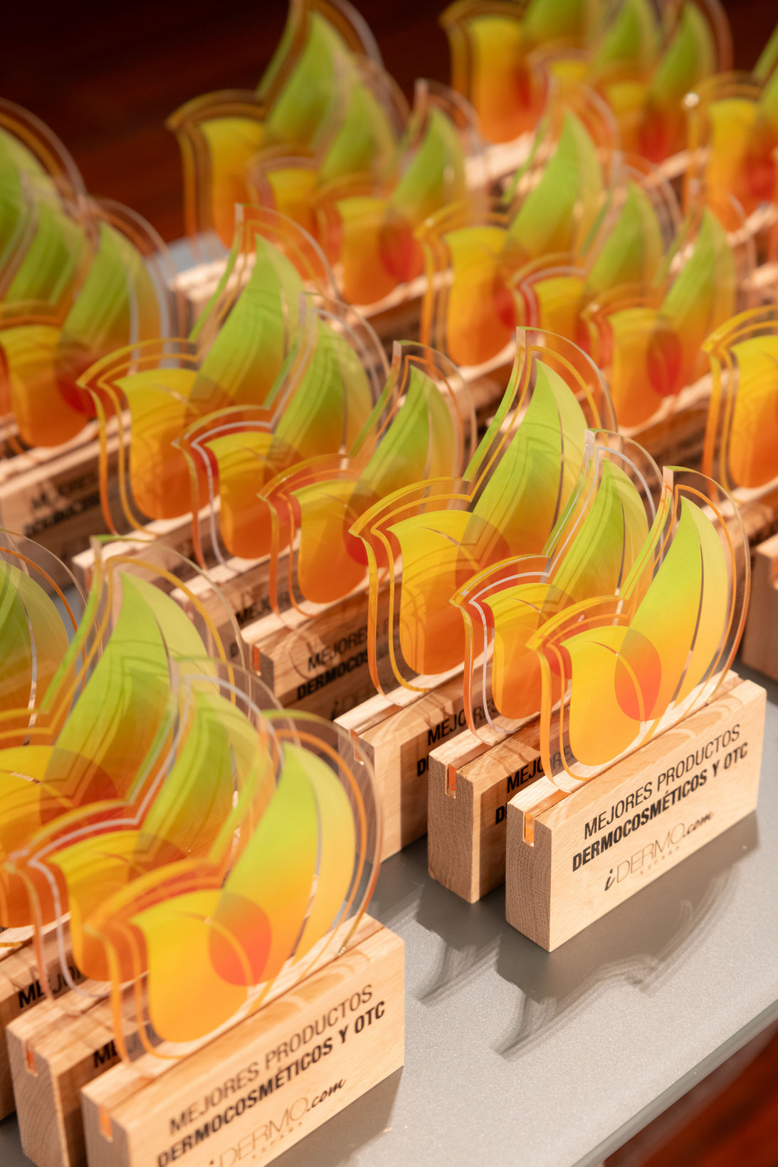 PREMIOS IDERMO 2026 sd 00006