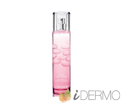 AGUA REFRESCANTE ROSE DE VIGNES AGUA REFRESCANTE ROSE DE VIGNES