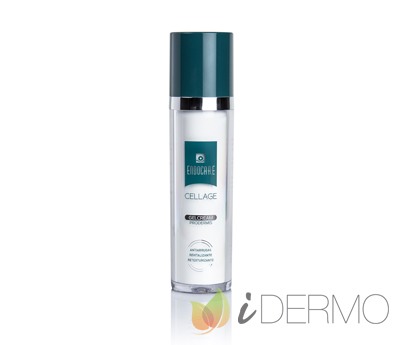 ENDOCARE CELLAGE GELCREAM PRODERMIS ENDOCARE CELLAGE GELCREAM PRODERMIS