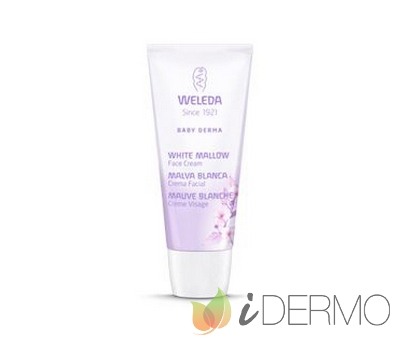 CREMA FACIAL DE MALVA BLANCA CREMA FACIAL DE MALVA BLANCA