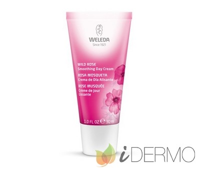 CREMA DE DÍA ALISANTE DE ROSA MOSQUETA CREMA DE DÍA ALISANTE DE ROSA MOSQUETA