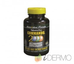 COMMANDO 2000