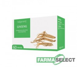 GINSENG