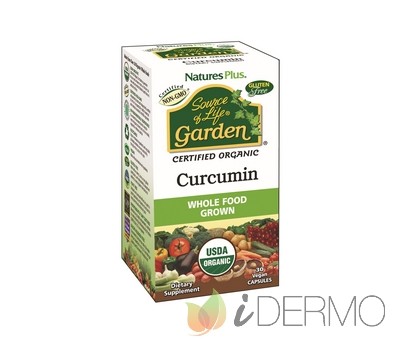 GARDEN CURCUMA