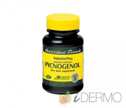 PYCNOGENOL