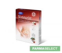 SISTEURIN