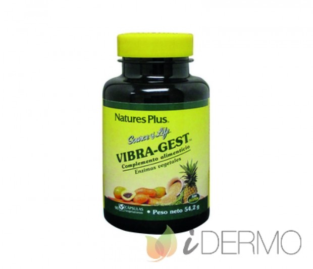 VIBRA-GEST