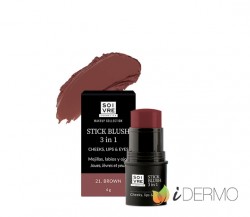 STICK BLUSH 3 EN 1 BROWN