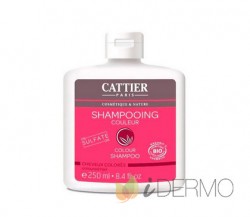 CHAMPU COLOR CABELLO TEÑIDO