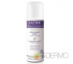 DESODORANTE SPRAY BRUME ACTIVE