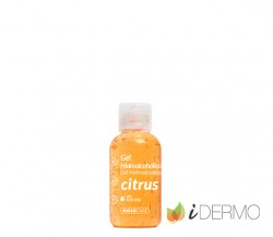 GEL HIDROALCOHÓLICO CITRUS