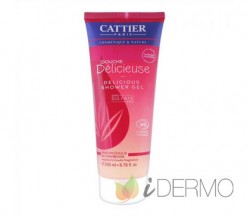 GEL DUCHA S/S DELICIOUS FRAMBUESA